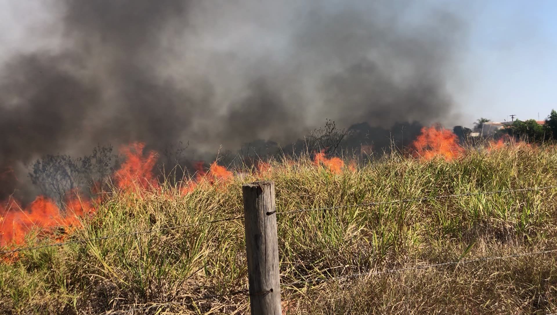 Fogo em terrenos para realizar a limpeza fogem do controle |