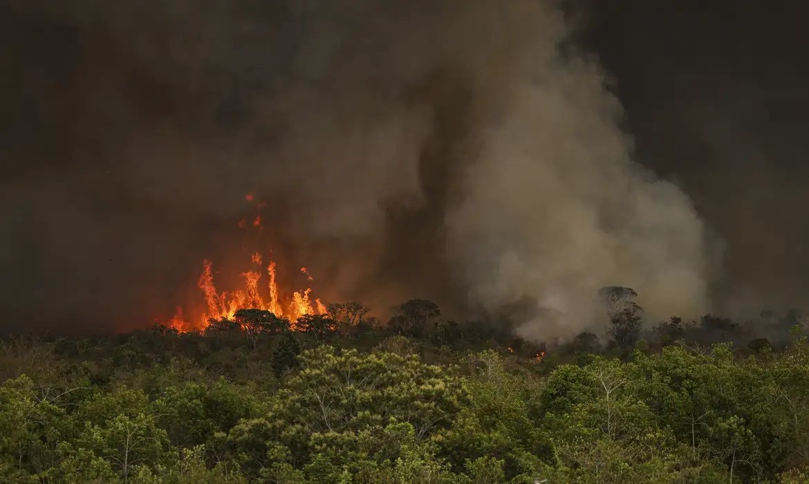 Em nove meses, o Cerrado teve 8,4 milhões de hectares consumidos pelo fogo, dos quais 4,3 milhões queimaram em setembro, maior área afetada nos últimos cinco anos, para o mesmo mês |