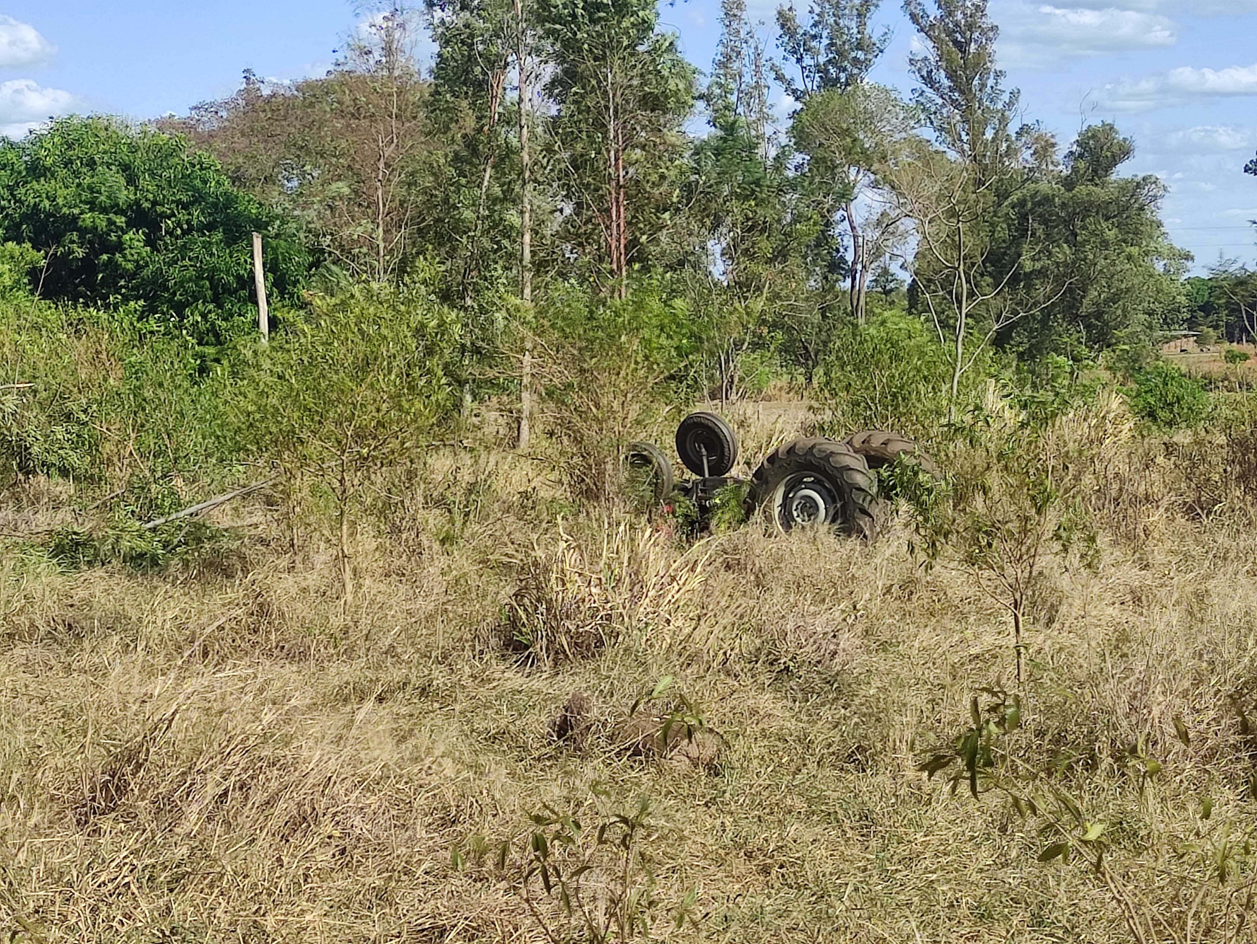 Acidente ocorreu quando a vitima estava realizando a retirada de eucaliptos de uma propriedade rural | |